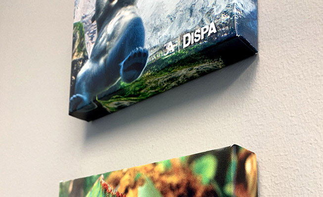 The Origami of DISPA®